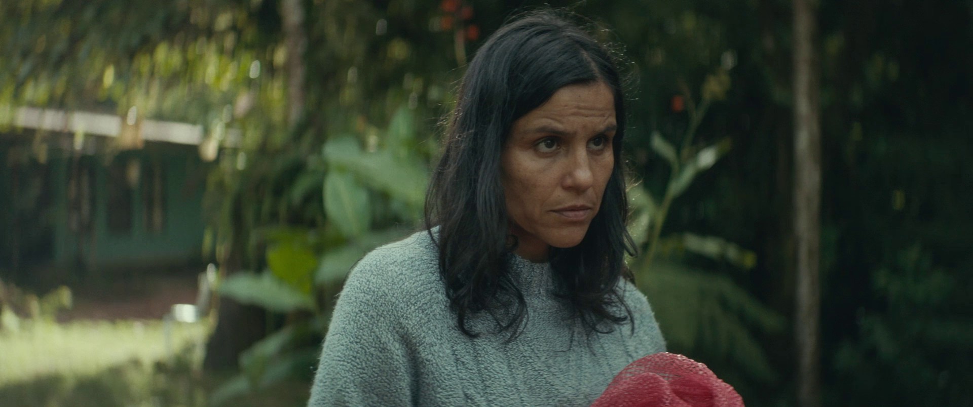 Clara Sola (2021) —  shot,  lighting