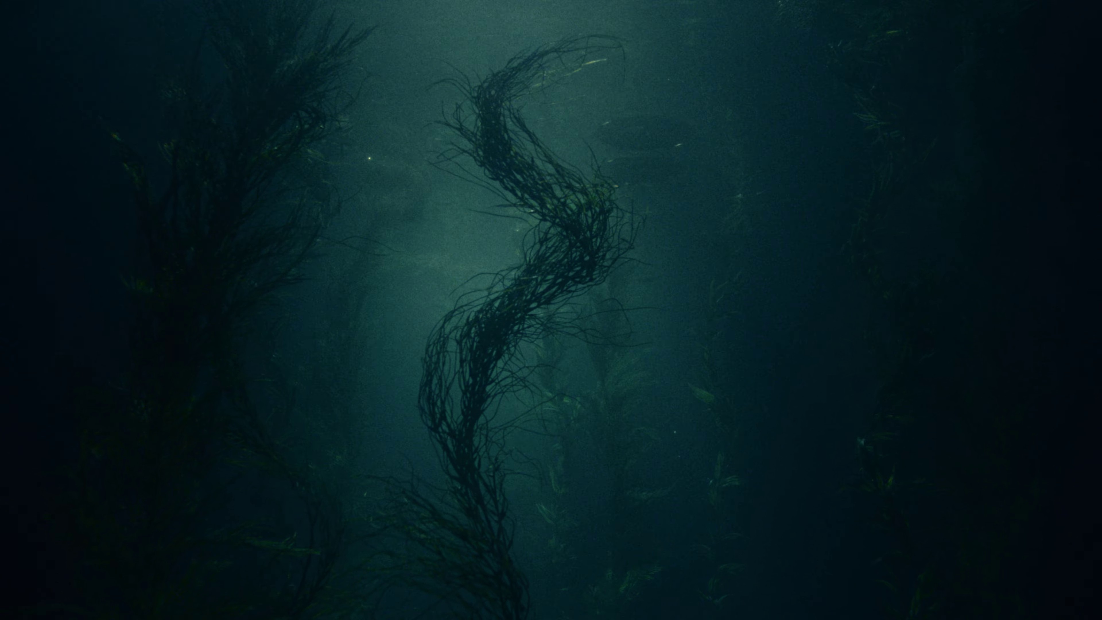 Your face (2023) —  shot,  lighting