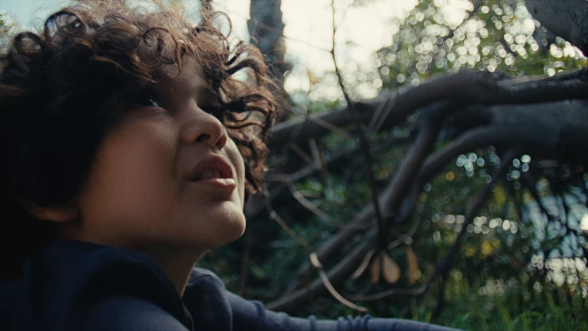 AGAIN (2026) —  shot,  lighting