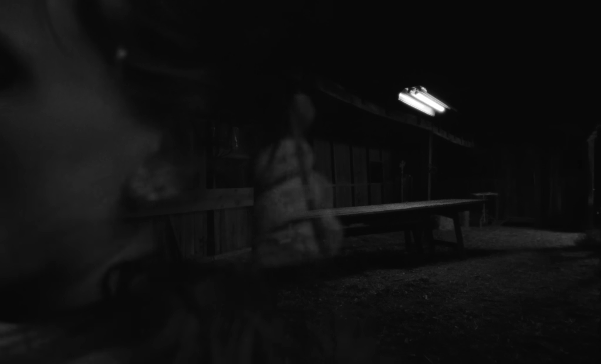 Vacillator (2025) —  shot,  lighting