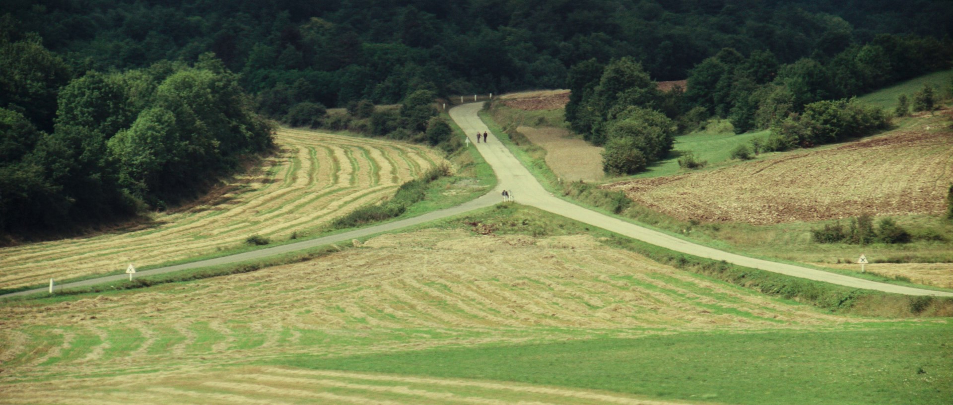 Calmos (1976) —  shot,  lighting