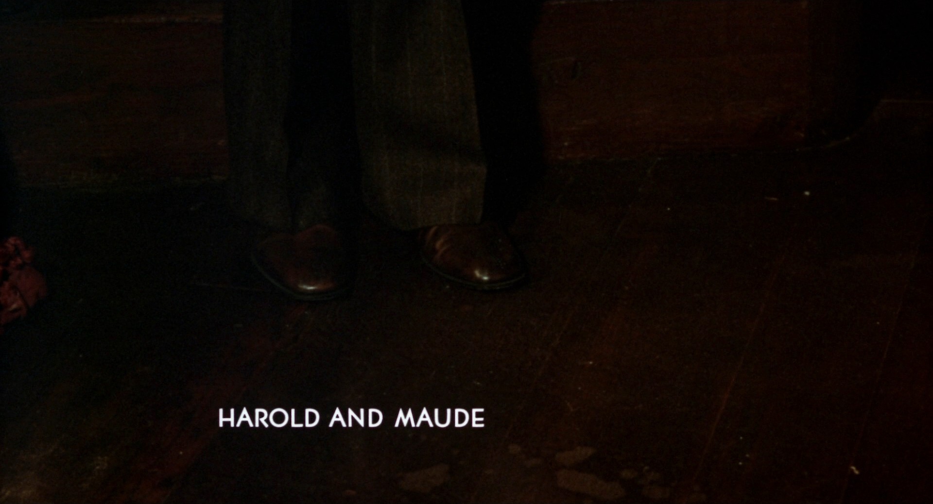 Harold and Maude (1971) —  shot,  lighting