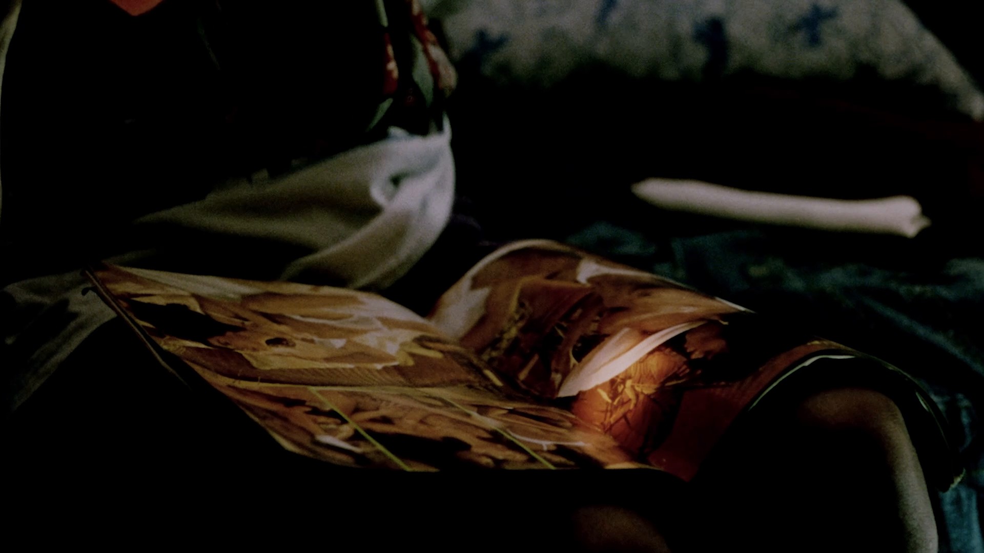 Cheese Head (2006) —  shot,  lighting