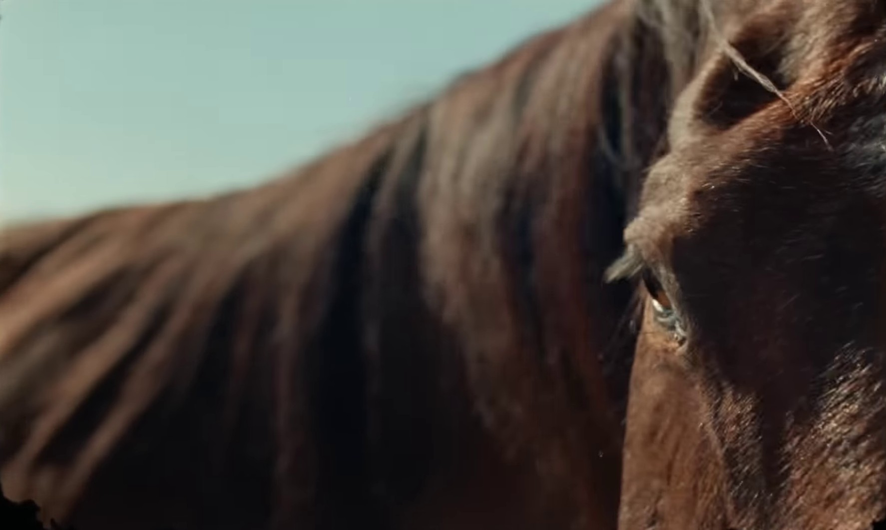 Midwest (2023) —  shot,  lighting