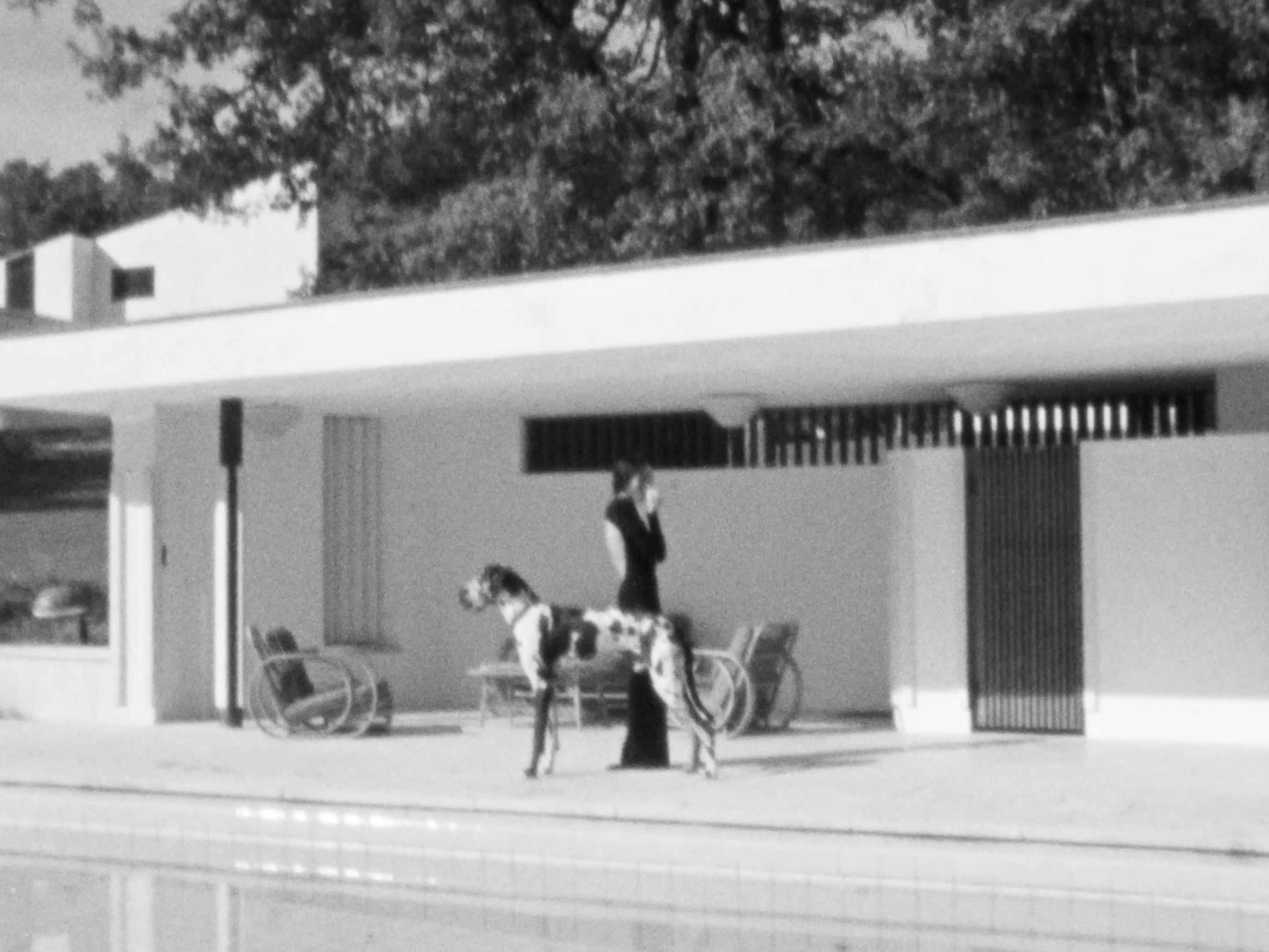 SAINT LAURENT - ZOË BY PURIENNE (2024) —  shot,  lighting