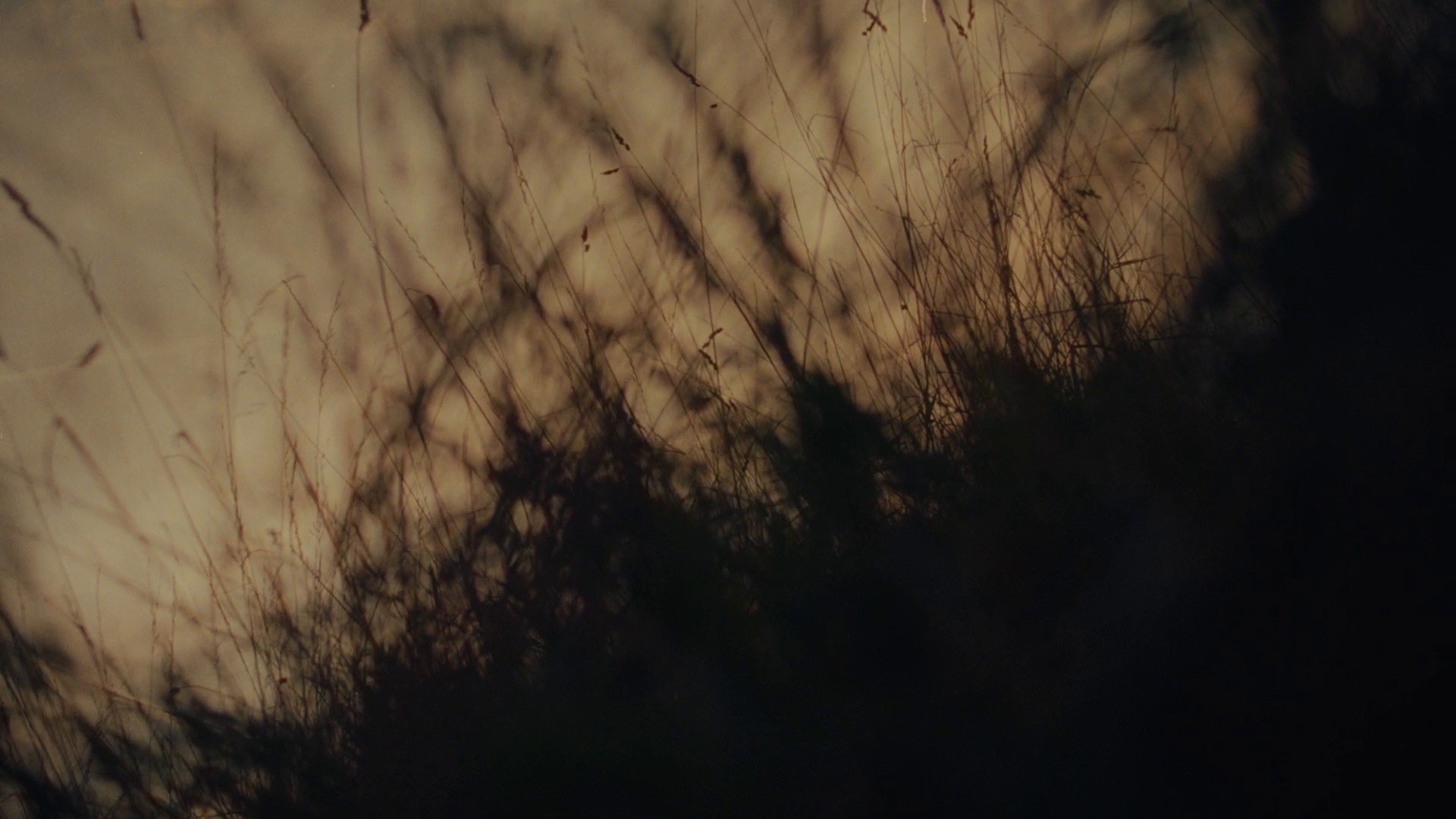 070 Shake | Natural Habitat (dir. Machine Operated) (2023) —  shot,  lighting