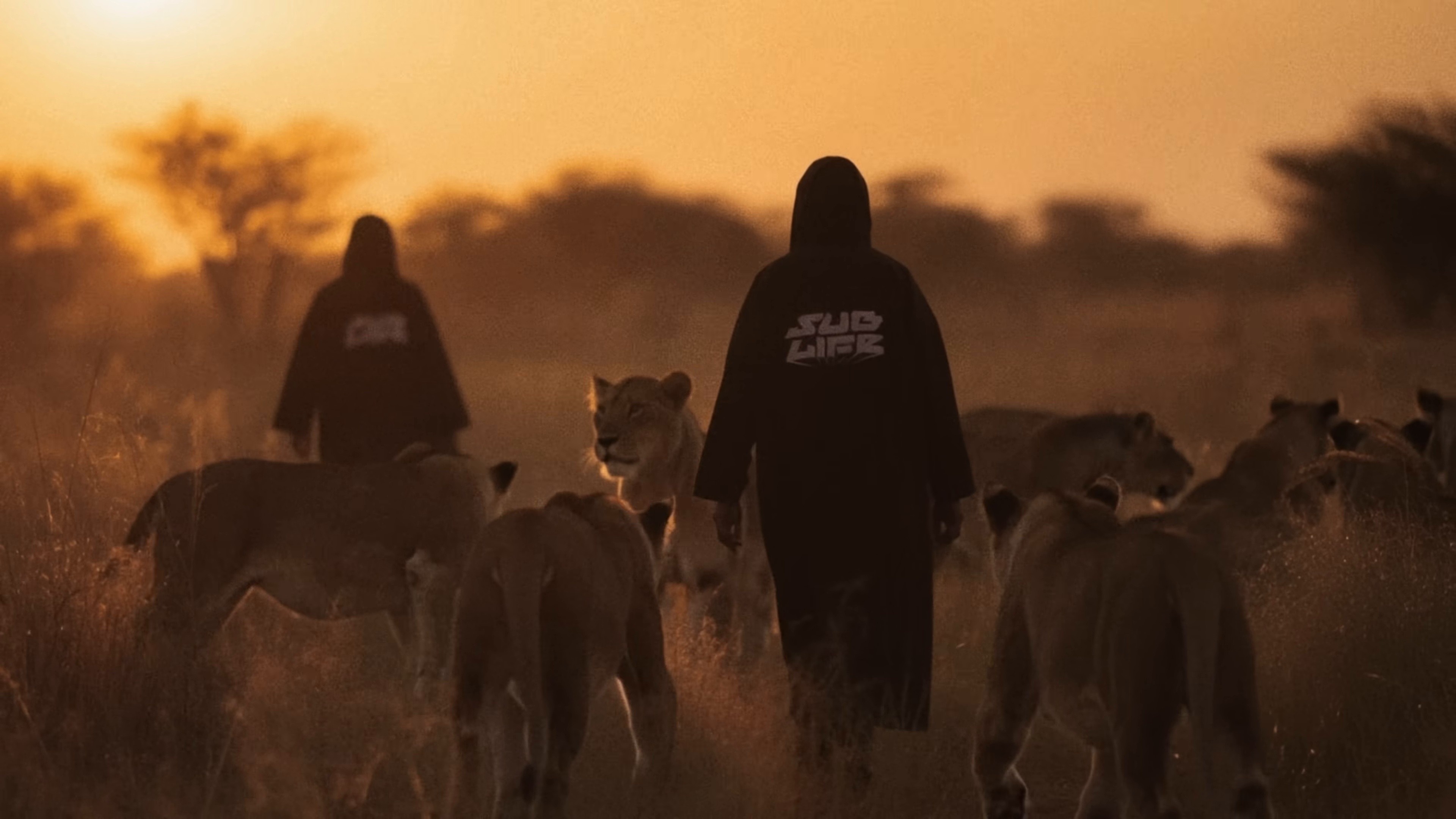 Sublife (2025) —  shot,  lighting