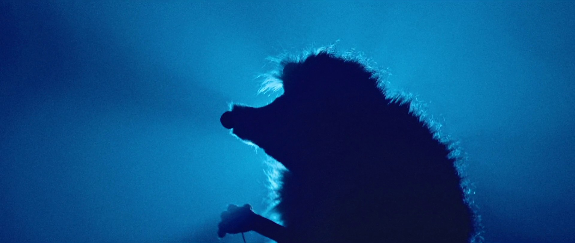 Marry me just for fun (2022) —  shot,  lighting