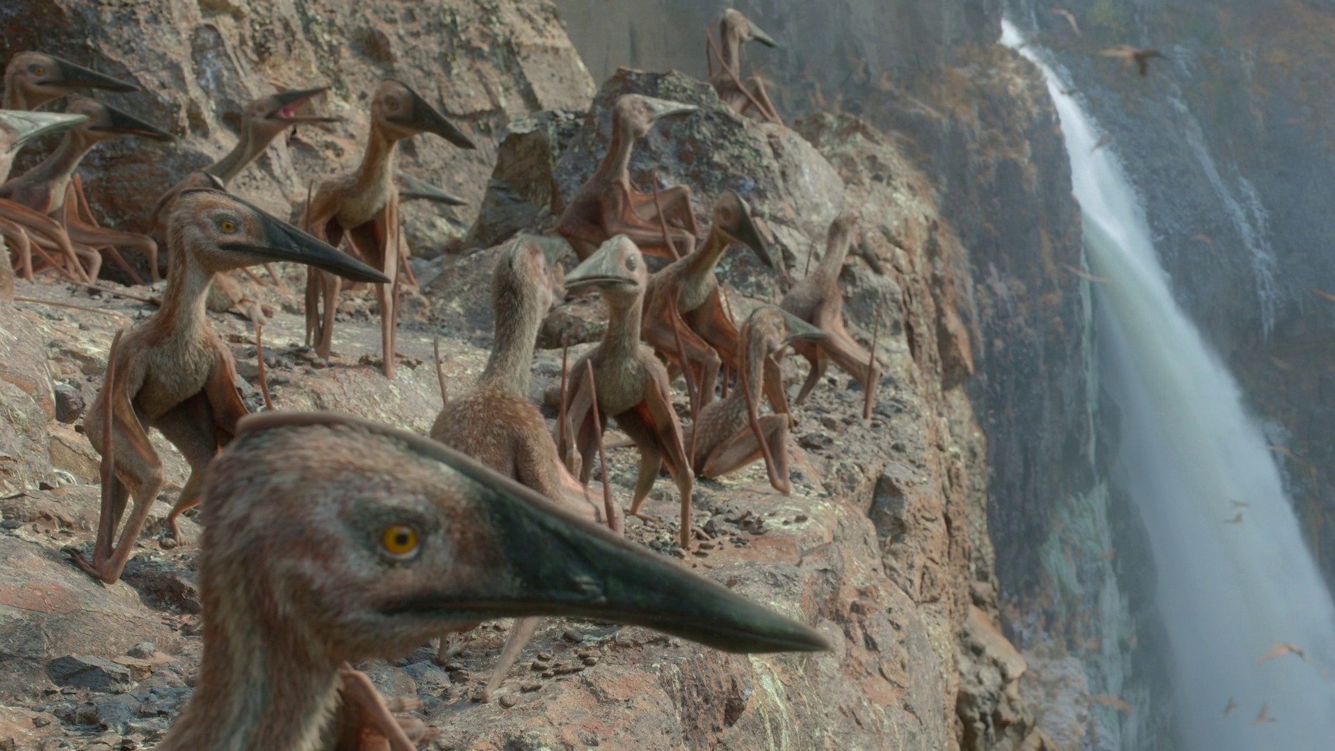 Freshwater (2022) —  shot,  lighting