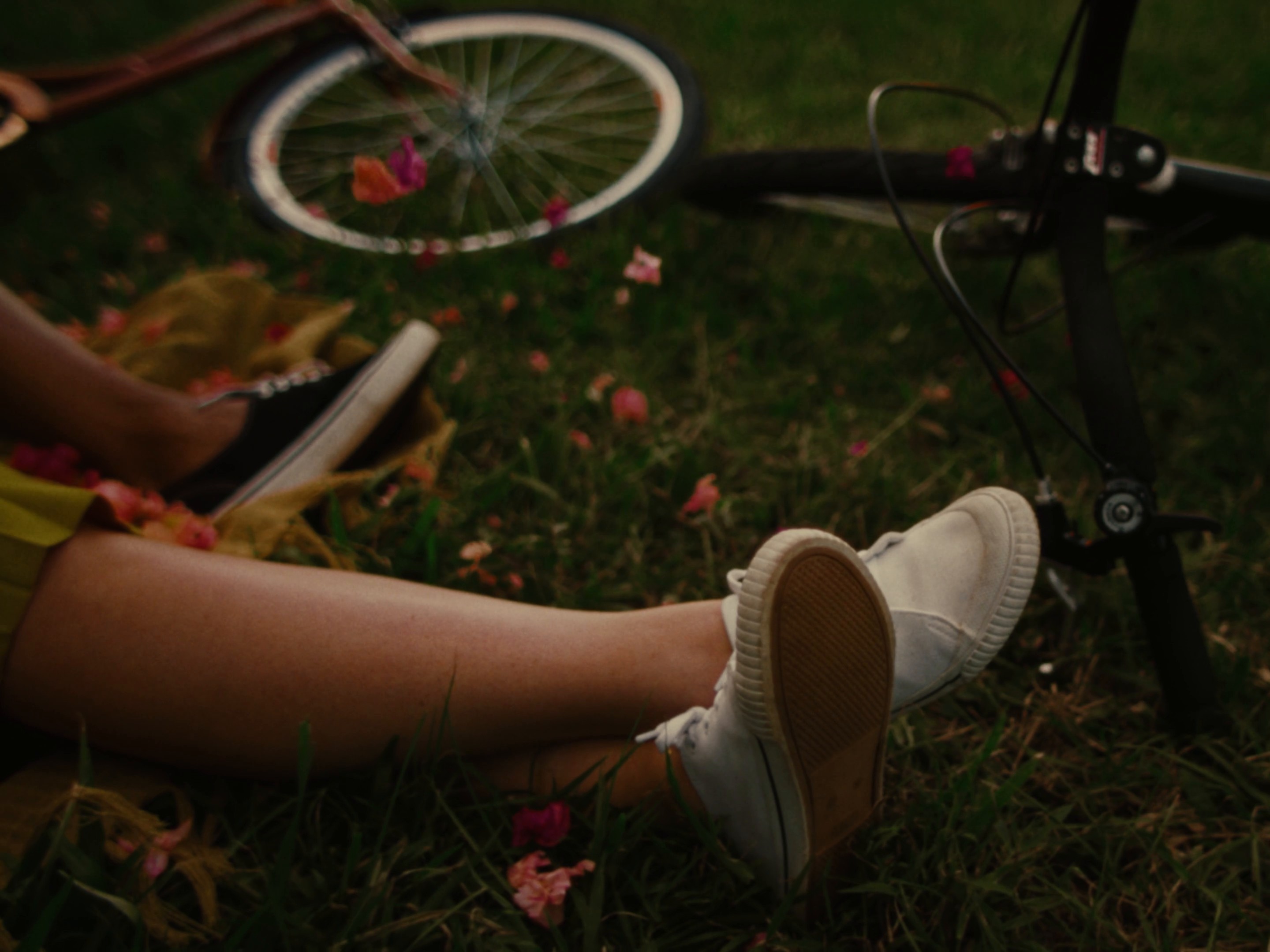 NATURA || Valentine's Day (2023) —  shot,  lighting