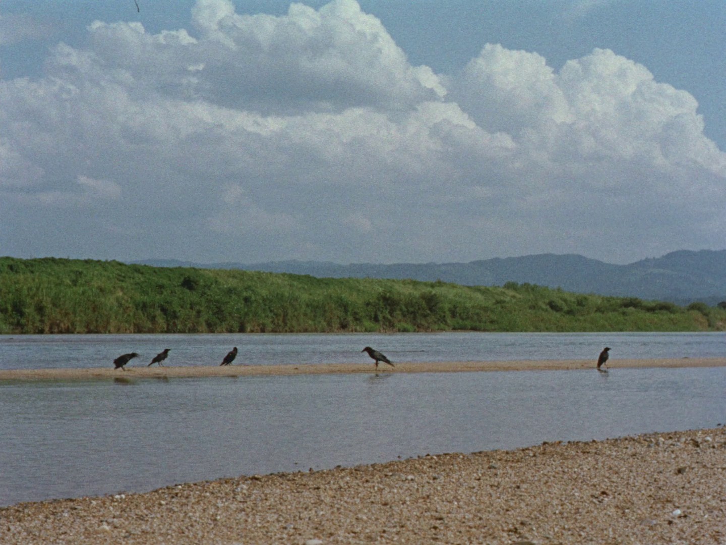  The End of Summer (1961) —  shot,  lighting