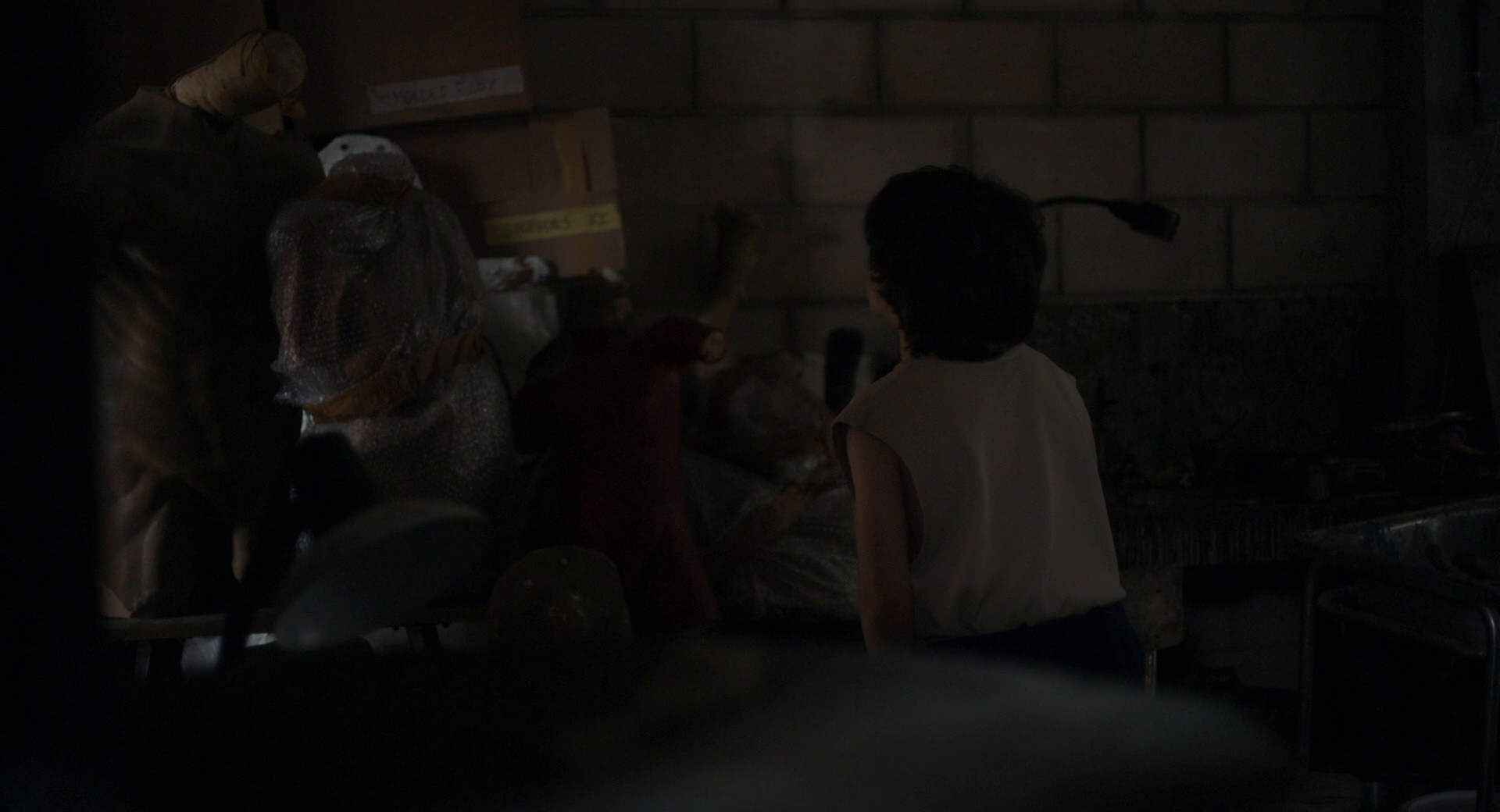 20,000 Species of Bees (2023) —  shot,  lighting