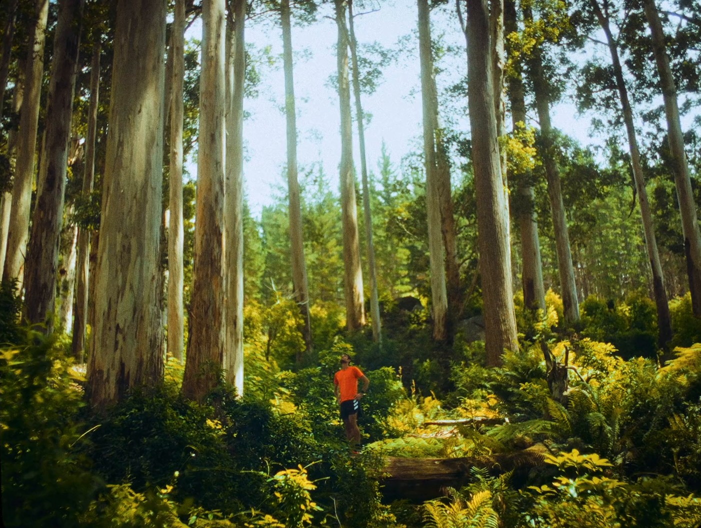 adidas TERREX | All Roads Lead To UTCT (2024) —  shot,  lighting