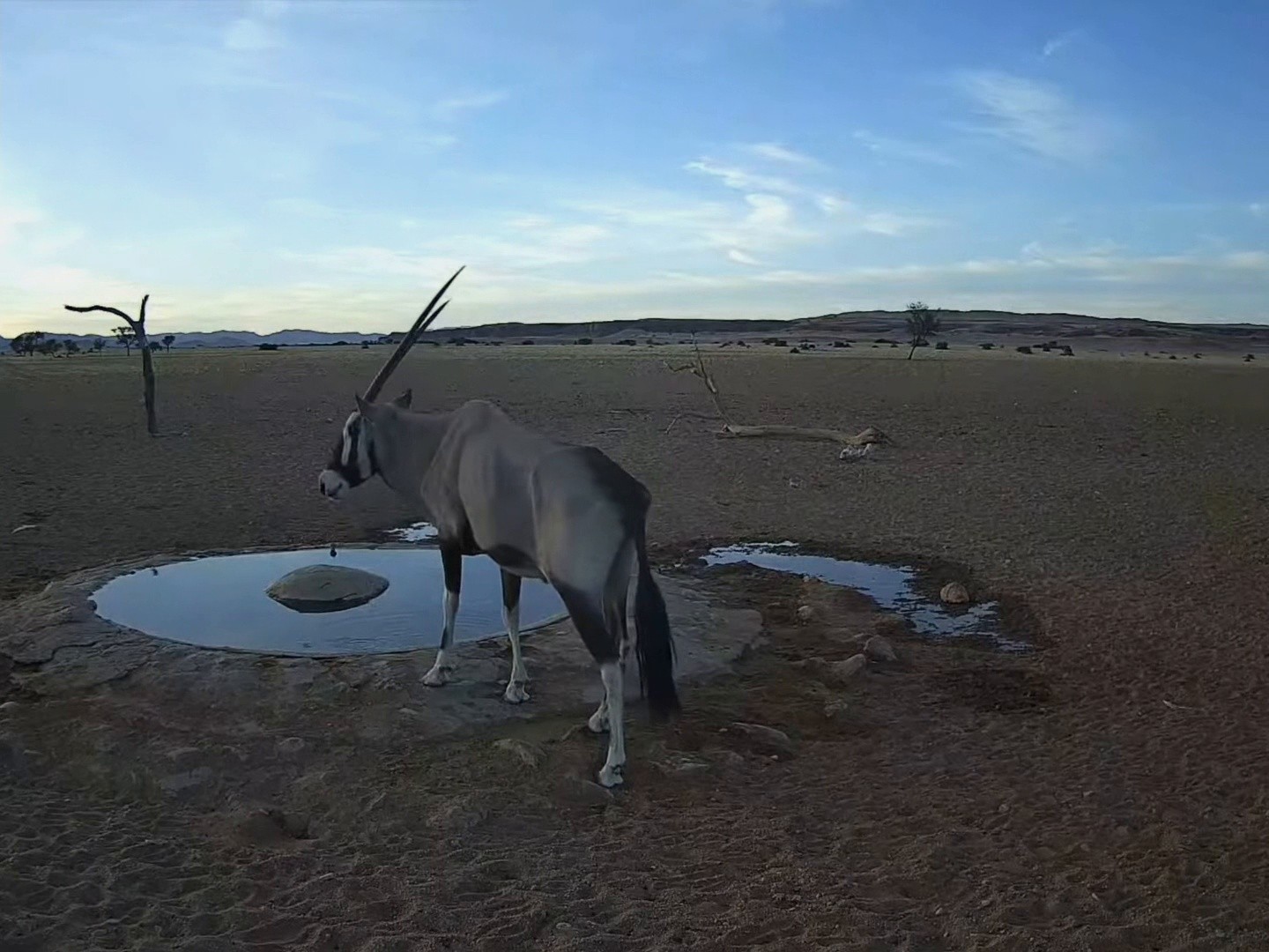Desert of Namibia (2024) —  shot,  lighting