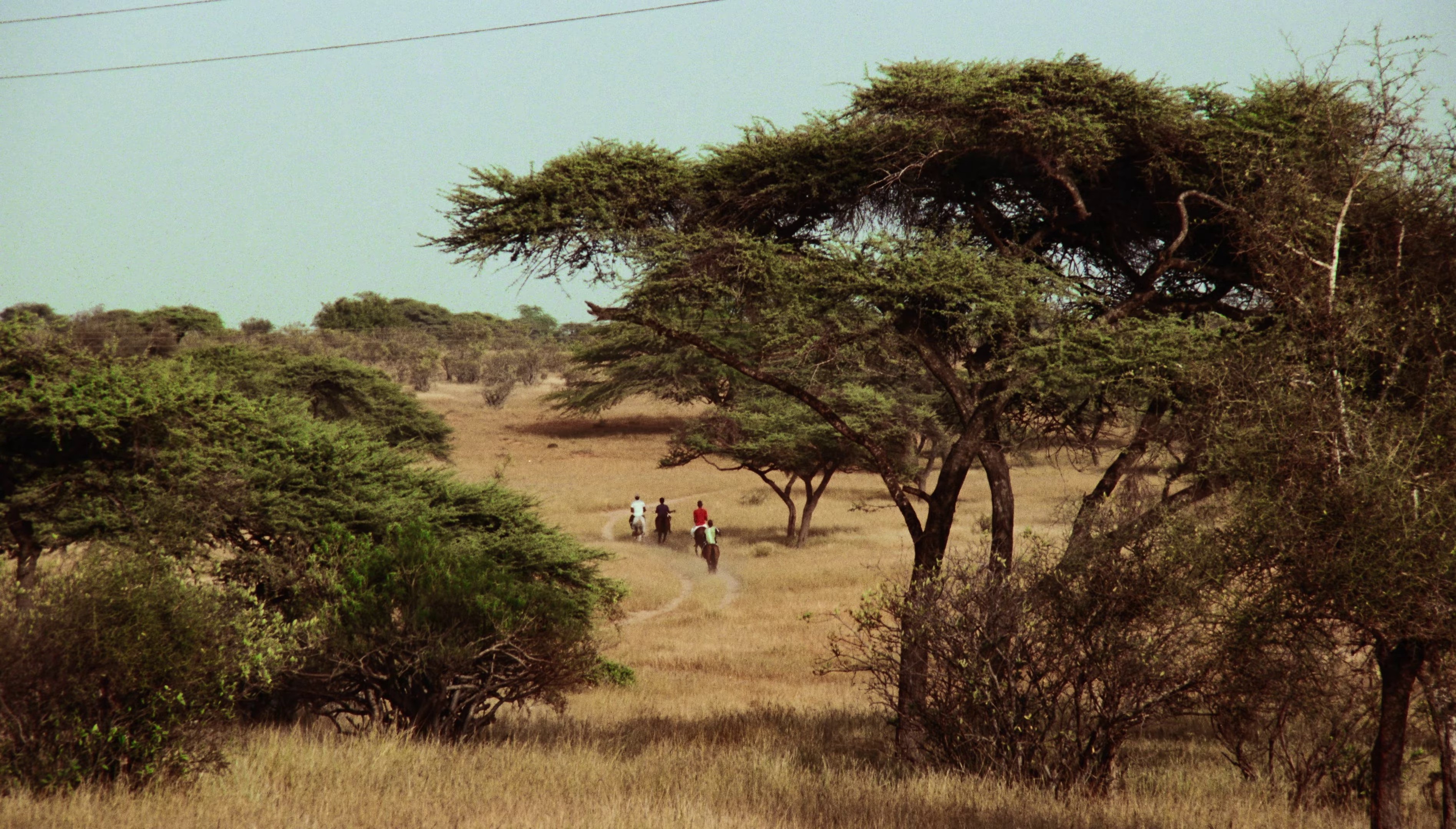 OPENHEARTED (2023) —  shot,  lighting