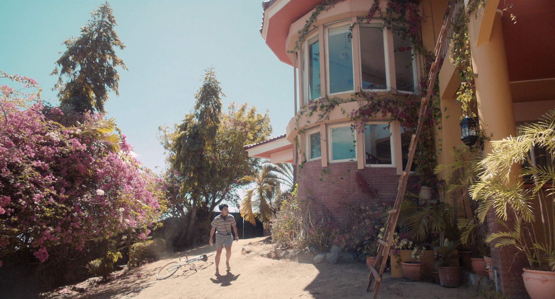 Death of Nintendo (2020) —  shot,  lighting