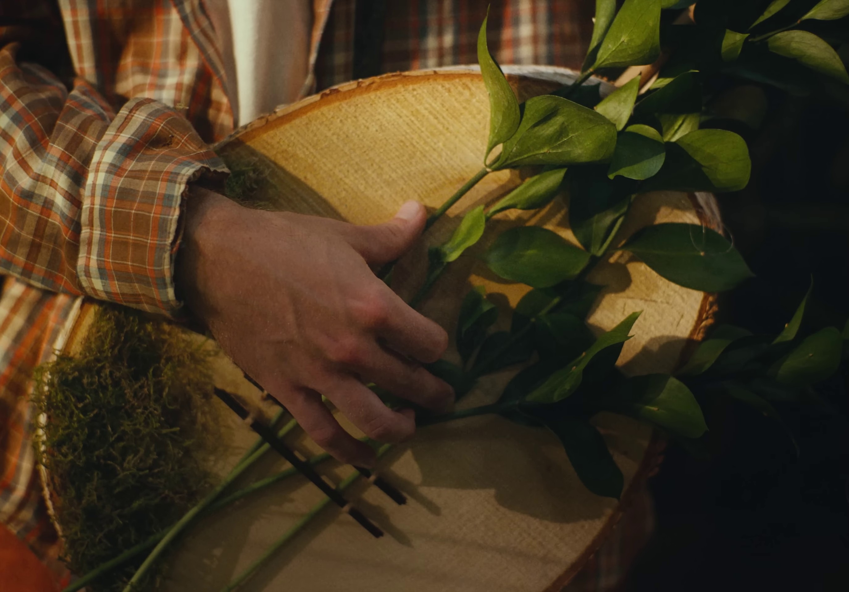 frog  (2022) —  shot,  lighting