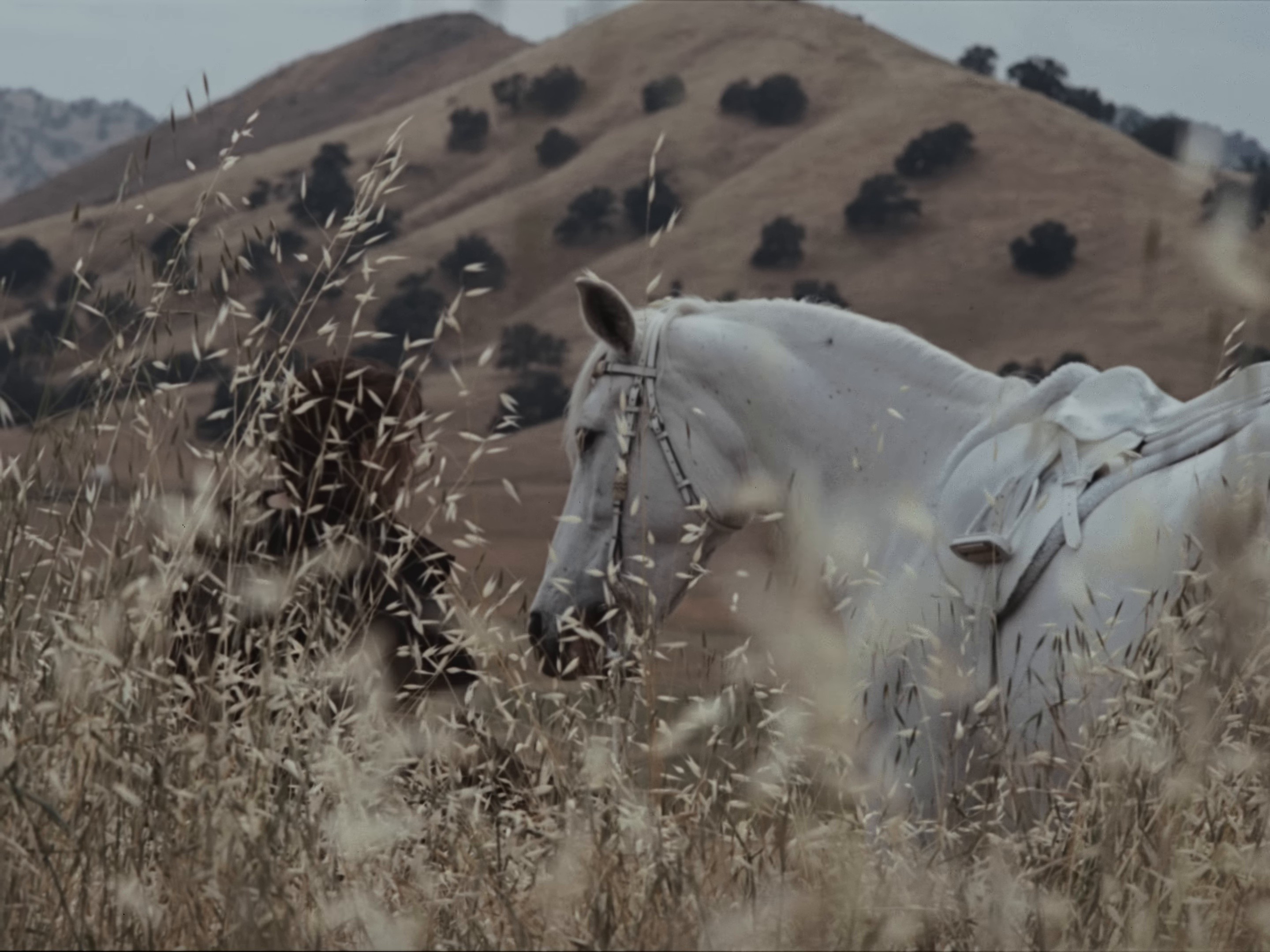 I Saw The Mountains (2025) —  shot,  lighting