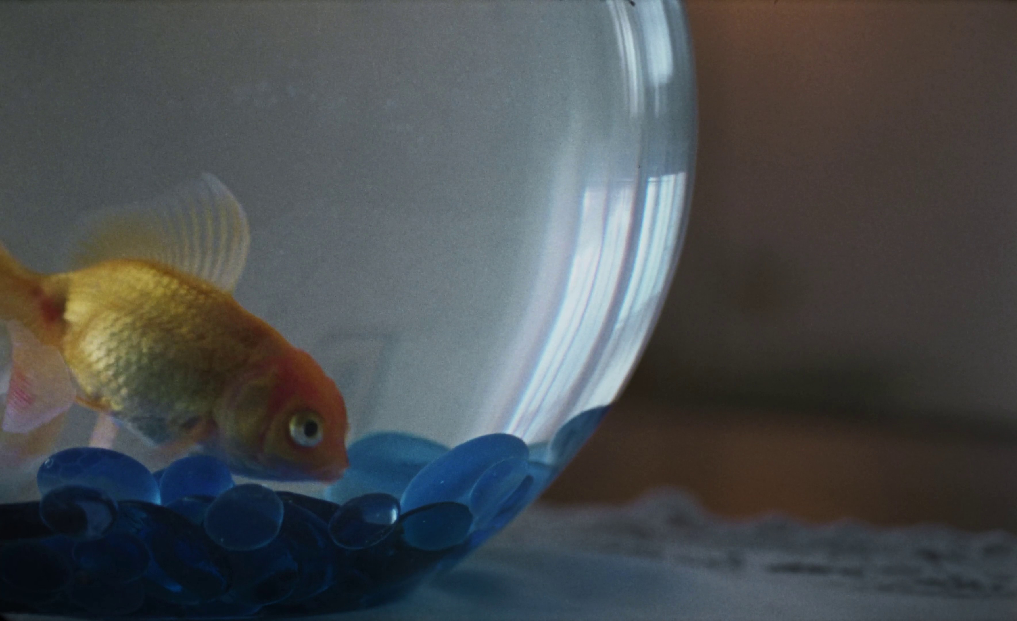 Alles (und Nichts) (2024) —  shot,  lighting