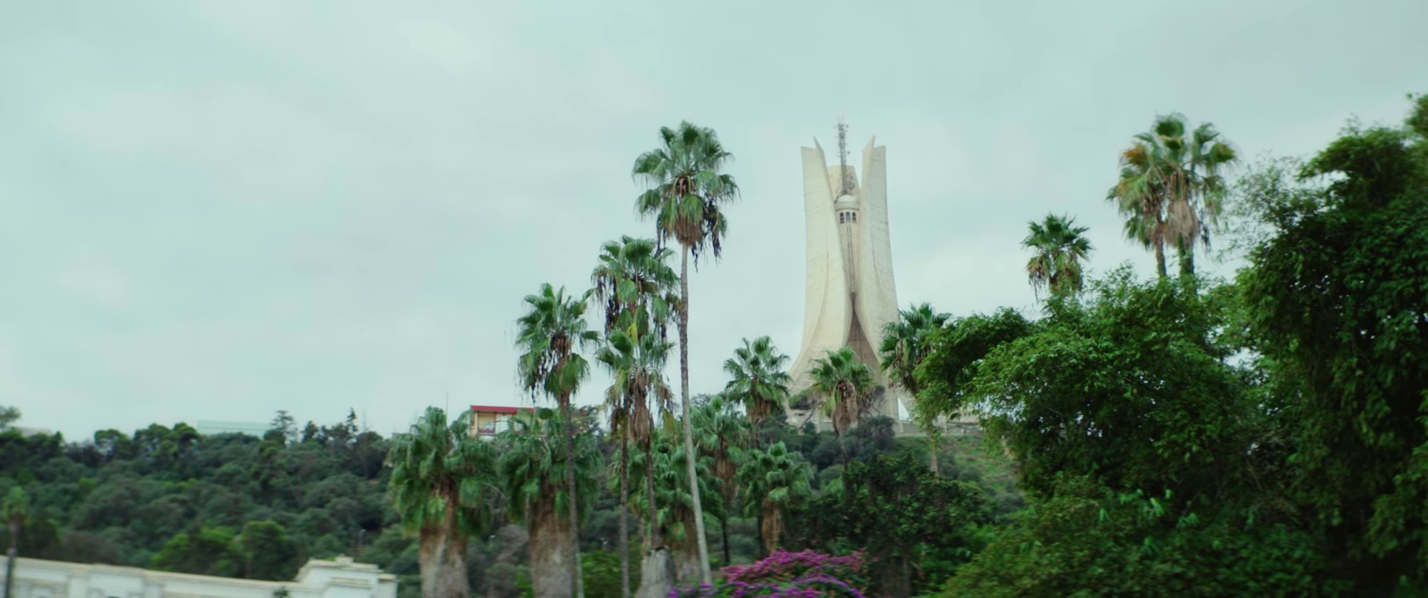 Lela (2021) —  shot,  lighting