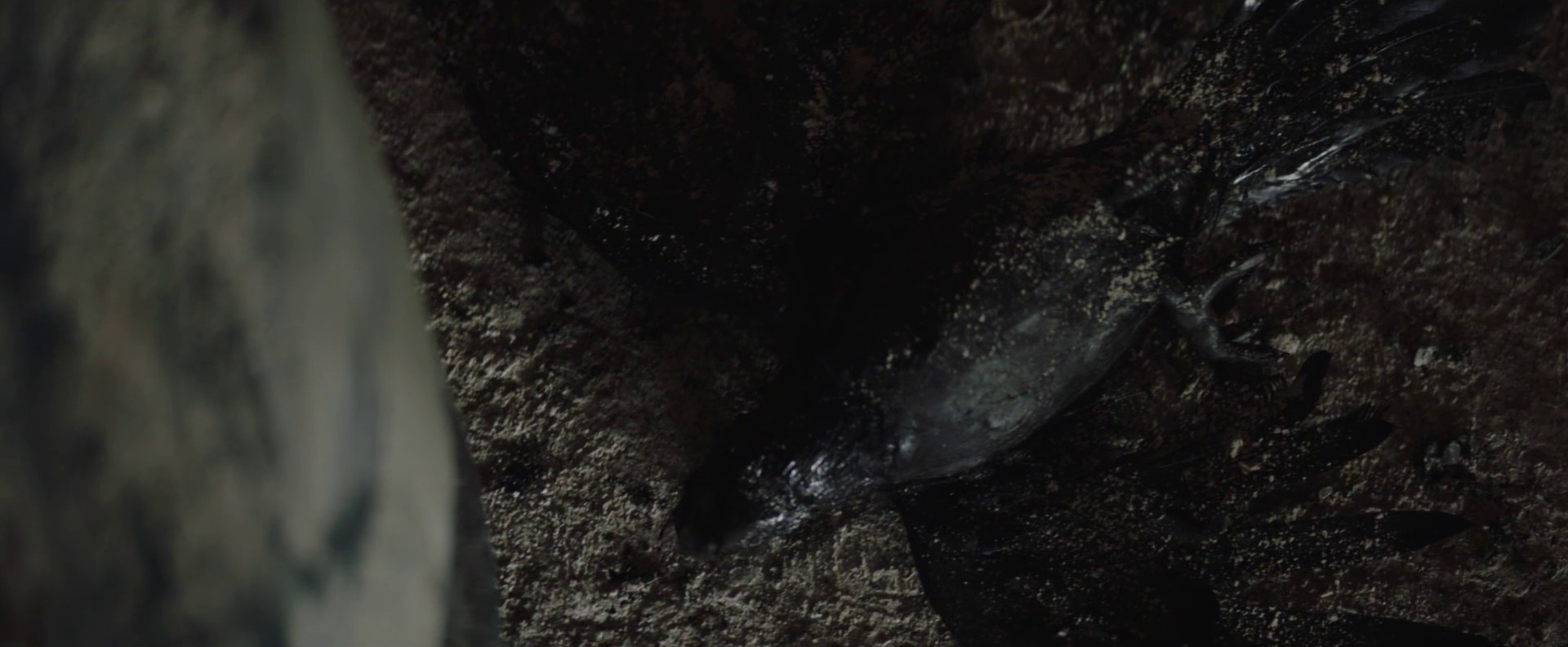 Birds In The Trap (2017) —  shot,  lighting