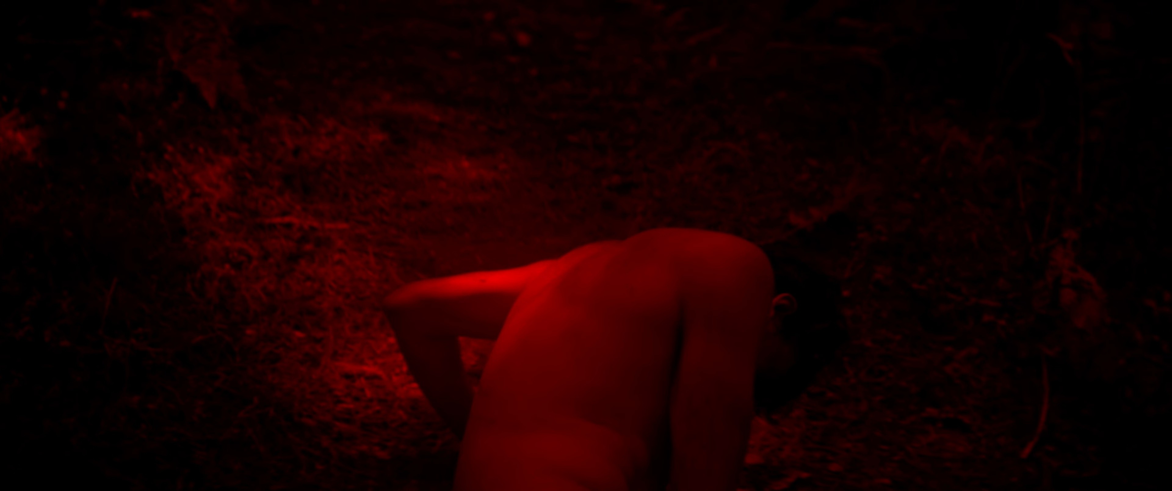 Morning Star (2024) —  shot,  lighting