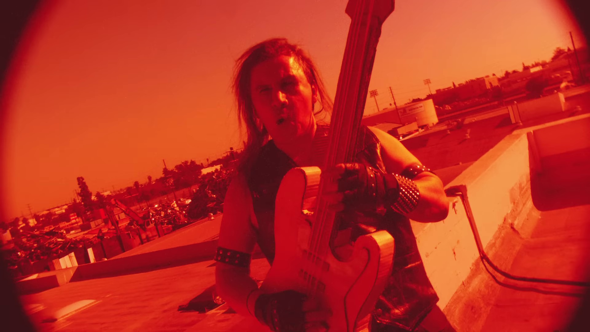 Bubblegum Dog (2023) —  shot,  lighting