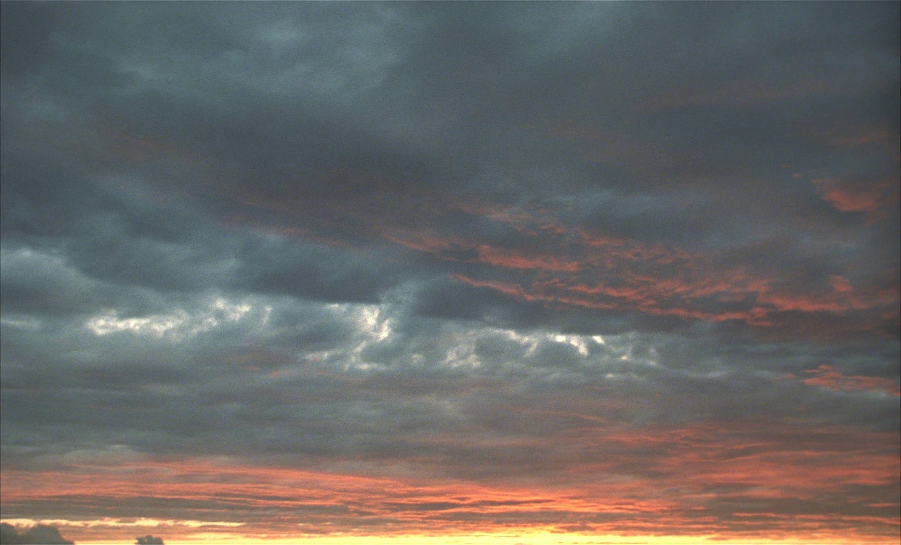 The Taste of Tea (2004) —  shot,  lighting