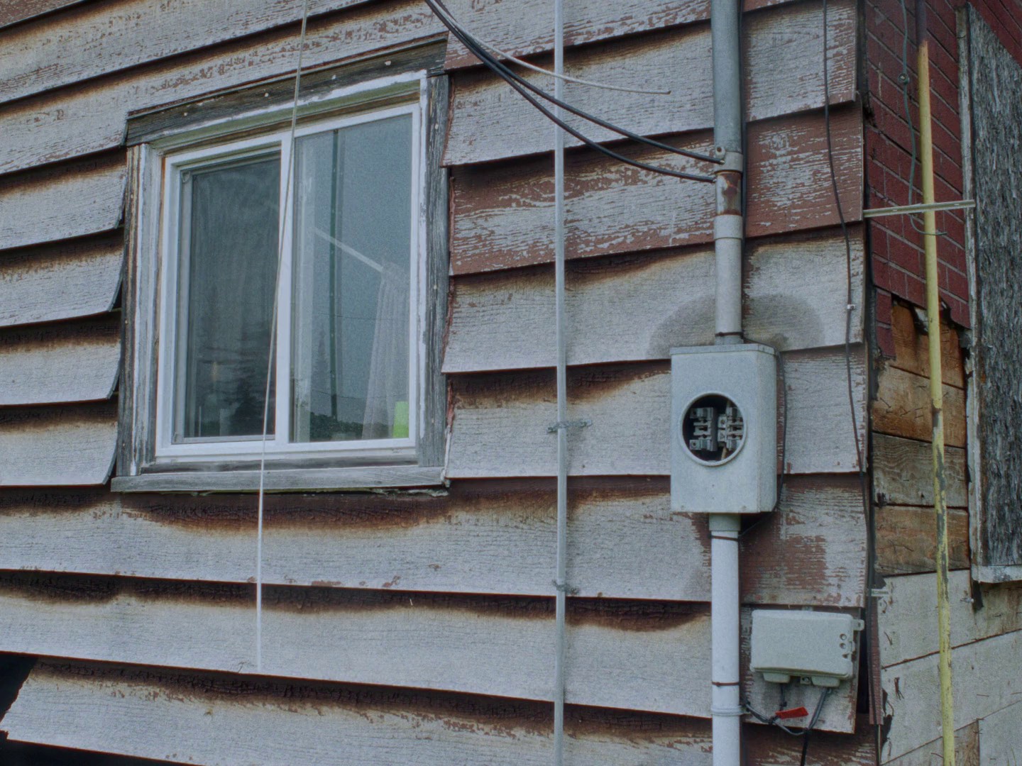 In a Violent Nature (2024) —  shot,  lighting