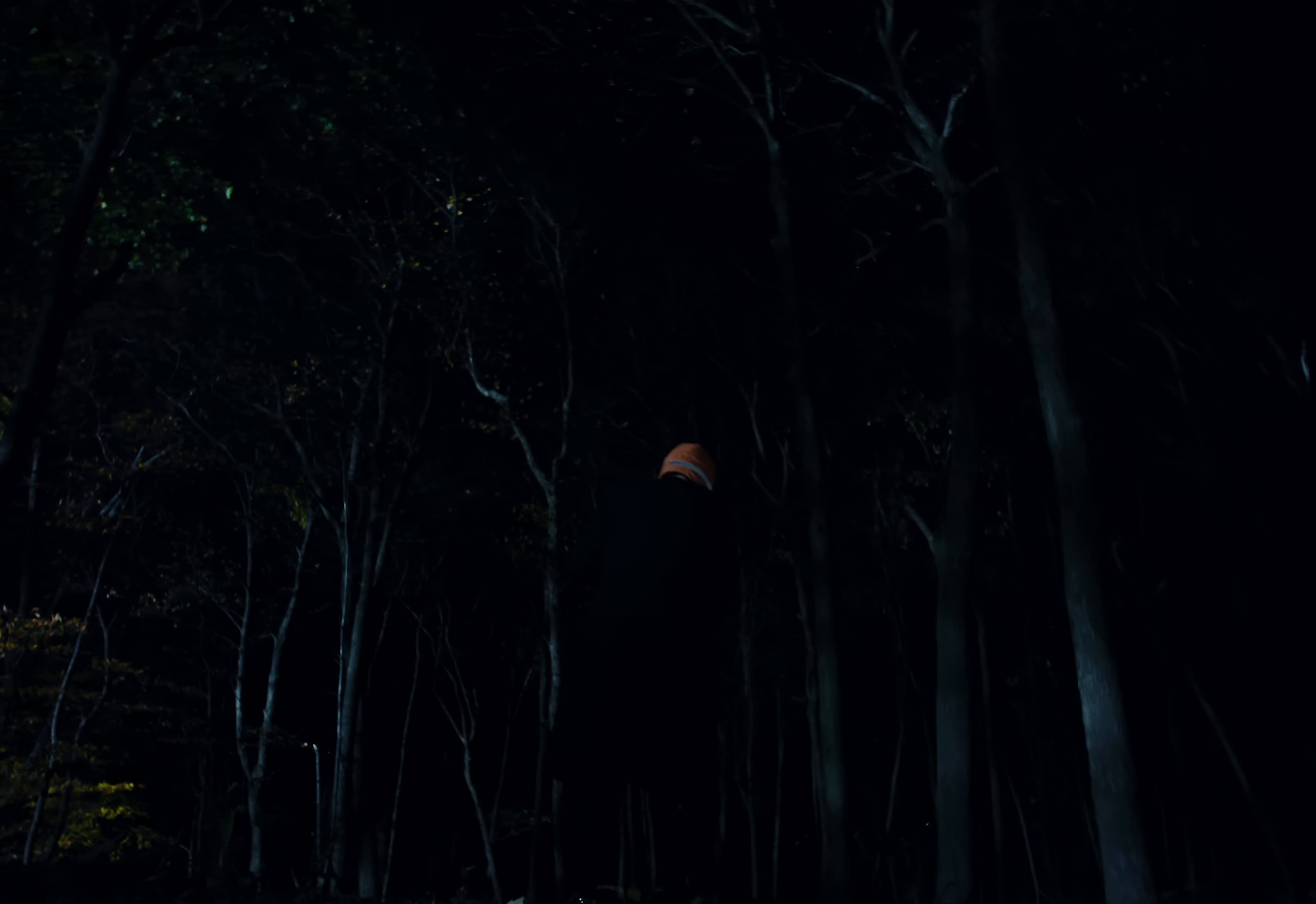 House (2025) —  shot,  lighting