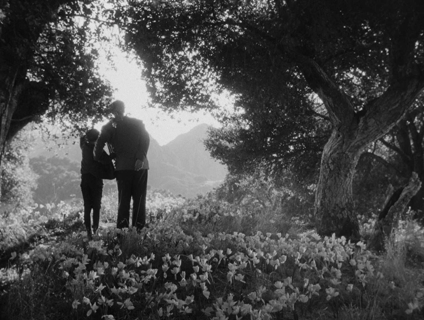 How Green Was My Valley (1950) —  shot,  lighting