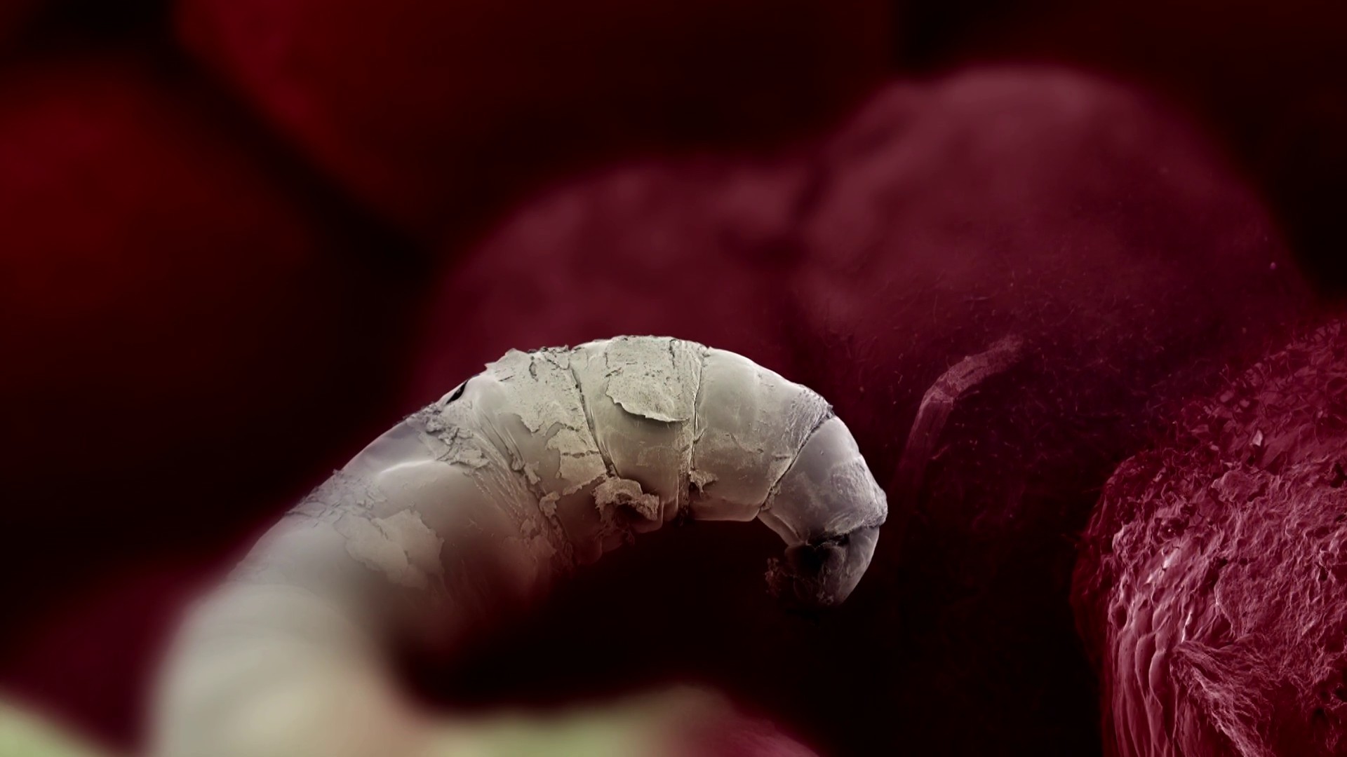 Speed Limits (2010) —  shot,  lighting