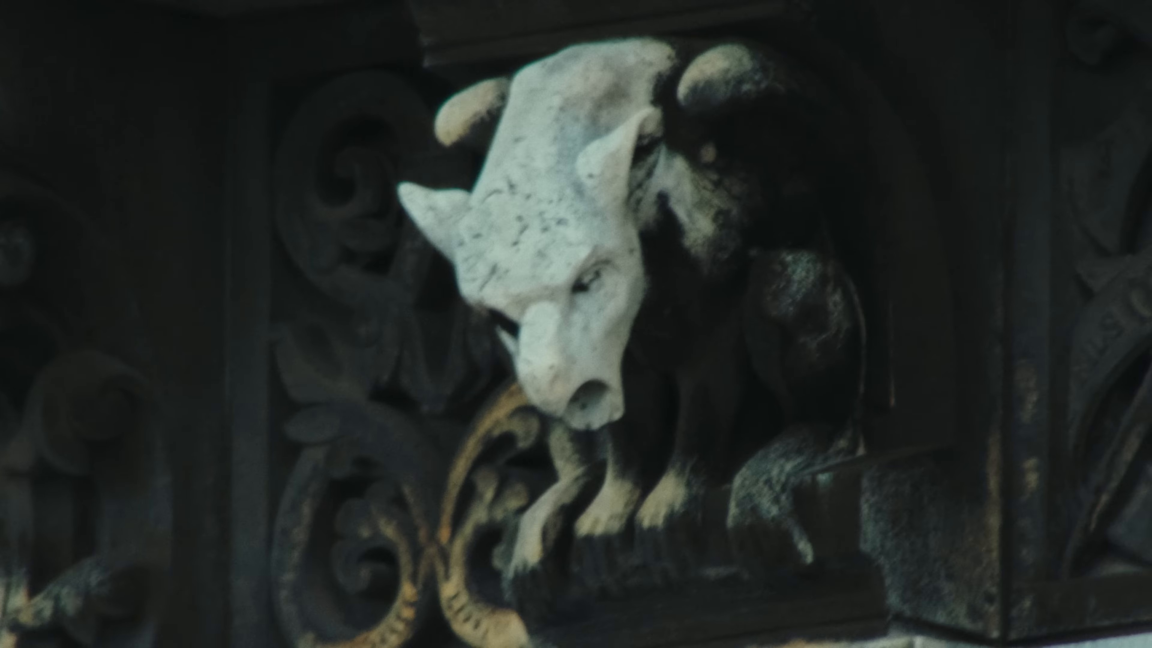 Merci la vie pour les douleurs (2024) —  shot,  lighting