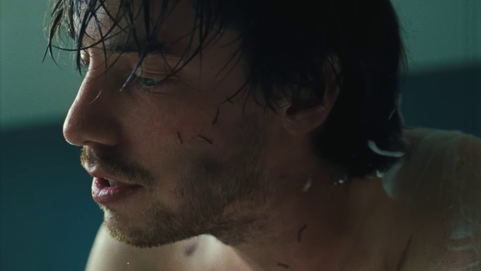 Aphid (2024) —  shot,  lighting