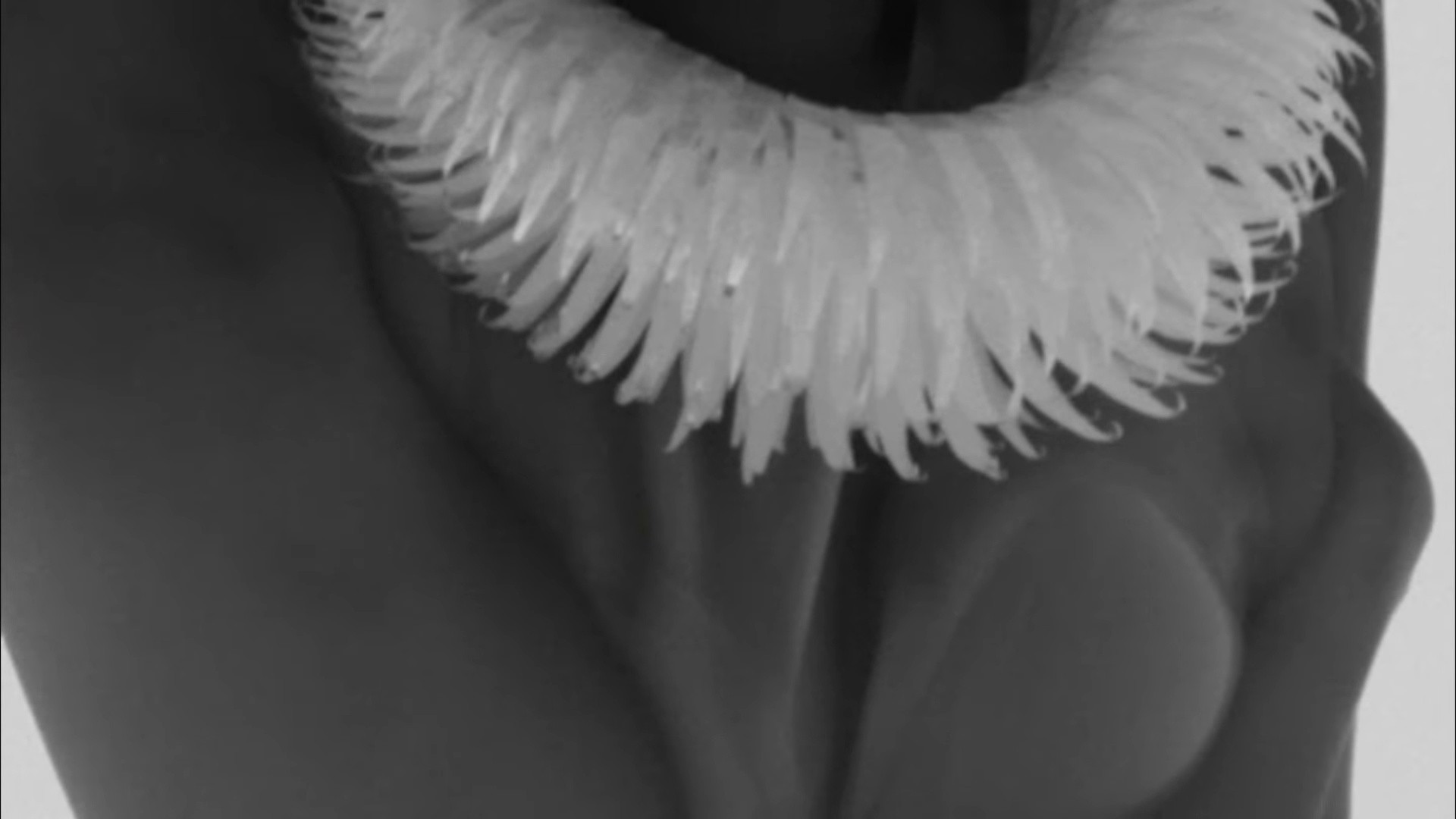 OZEBA (2024) —  shot,  lighting