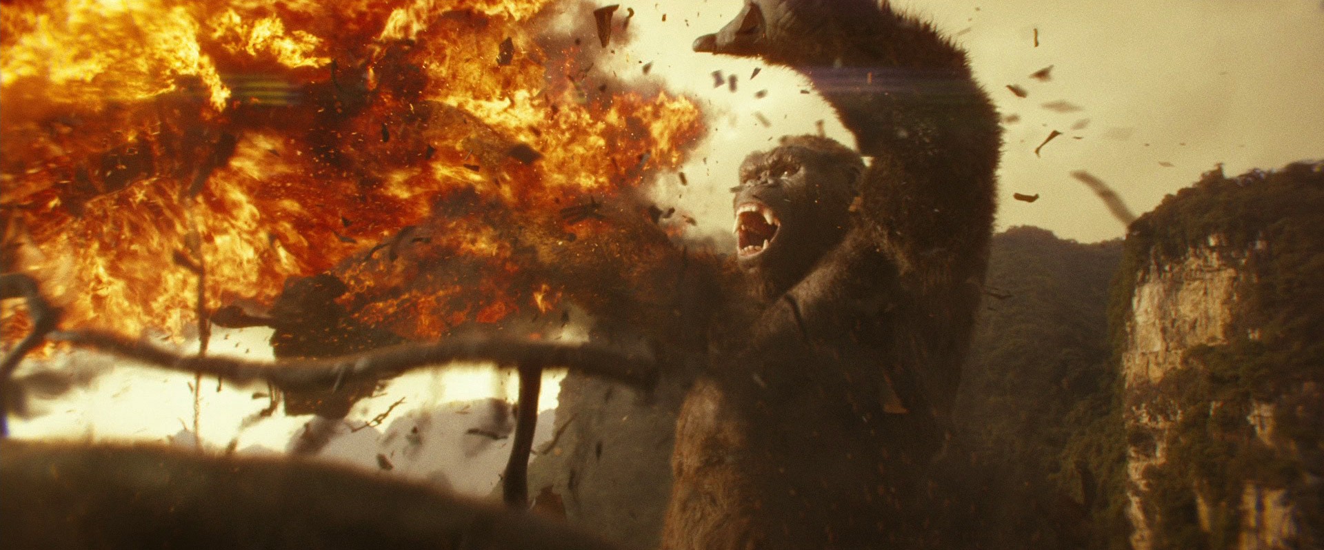 Kong: Skull Island (2017) —  shot,  lighting