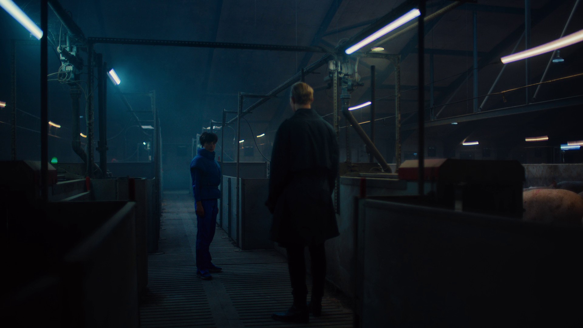 From Mr. Chiang with Love (2023) —  shot,  lighting