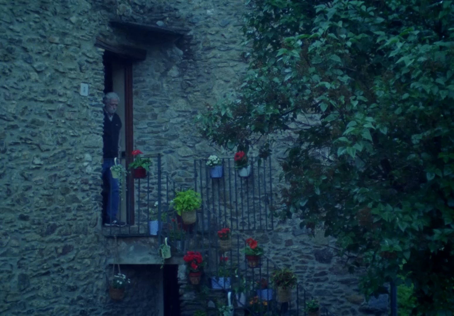 LAS FLORES (2024) —  shot,  lighting