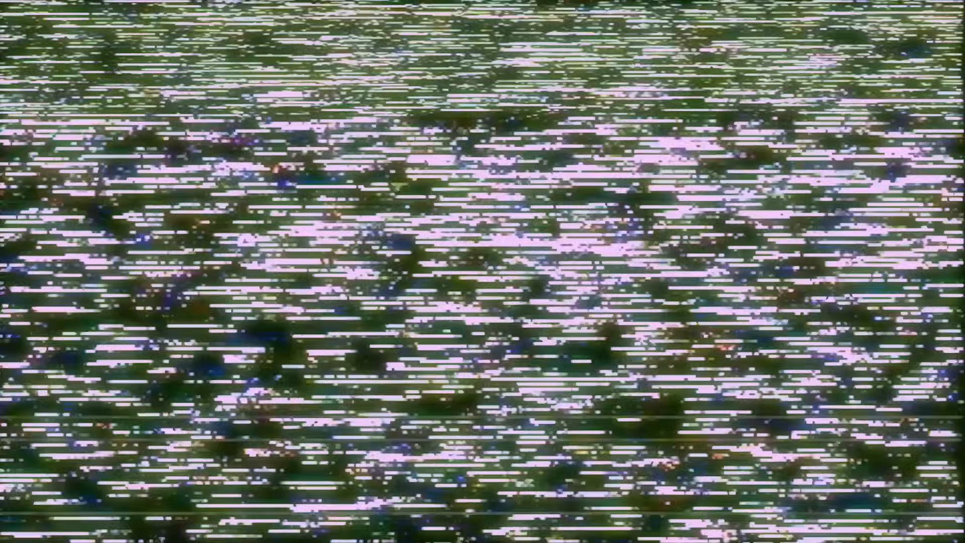 People Are Afraid (2026) —  shot,  lighting