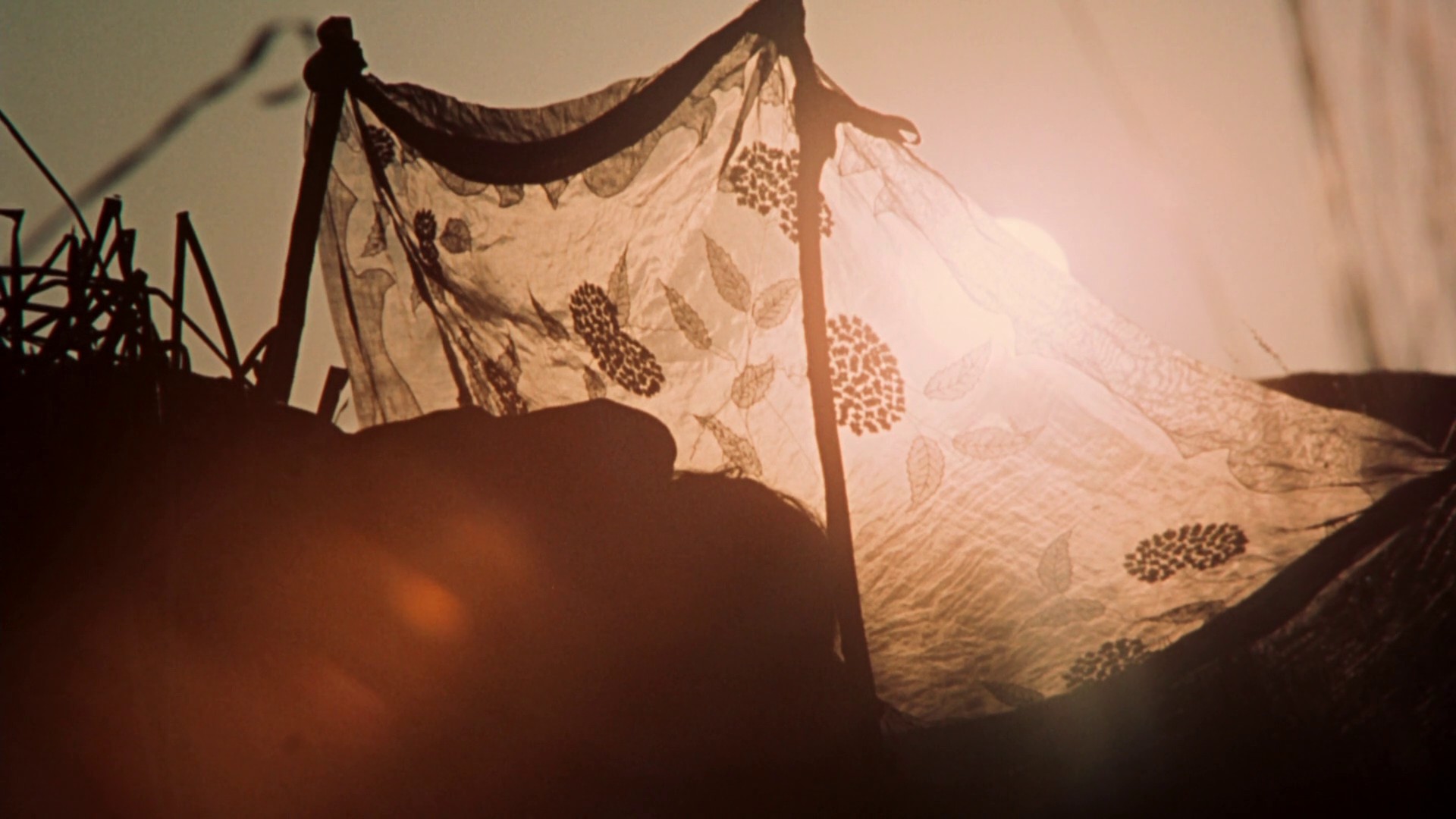 Walkabout (1971) —  shot,  lighting