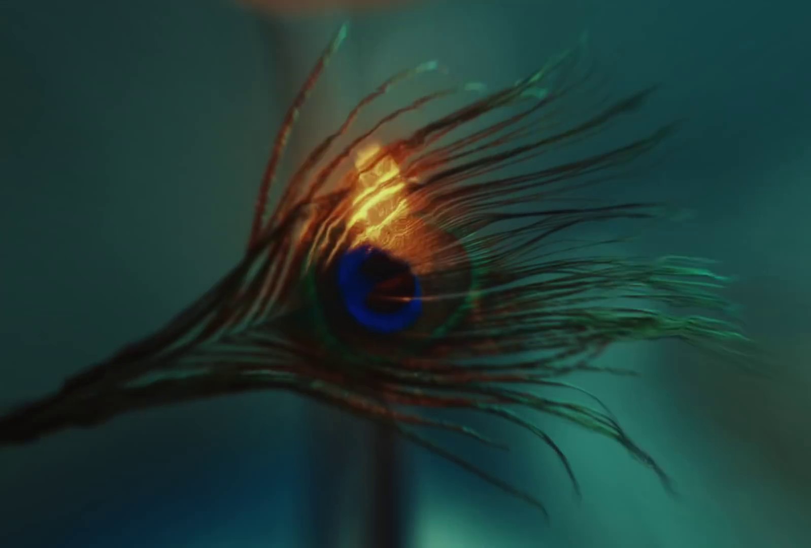 Bitch (2019) —  shot,  lighting