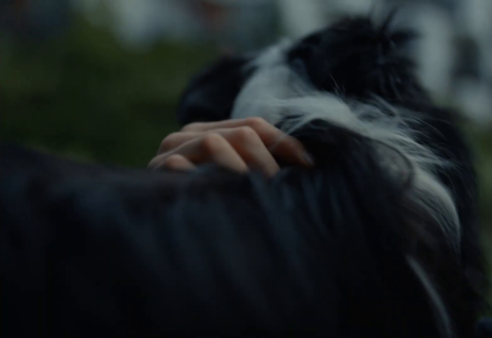 Dom jest wtedy, gdy ludzie i zwierzęta wspólnie mogą oswajać swój świat (2024) —  shot,  lighting