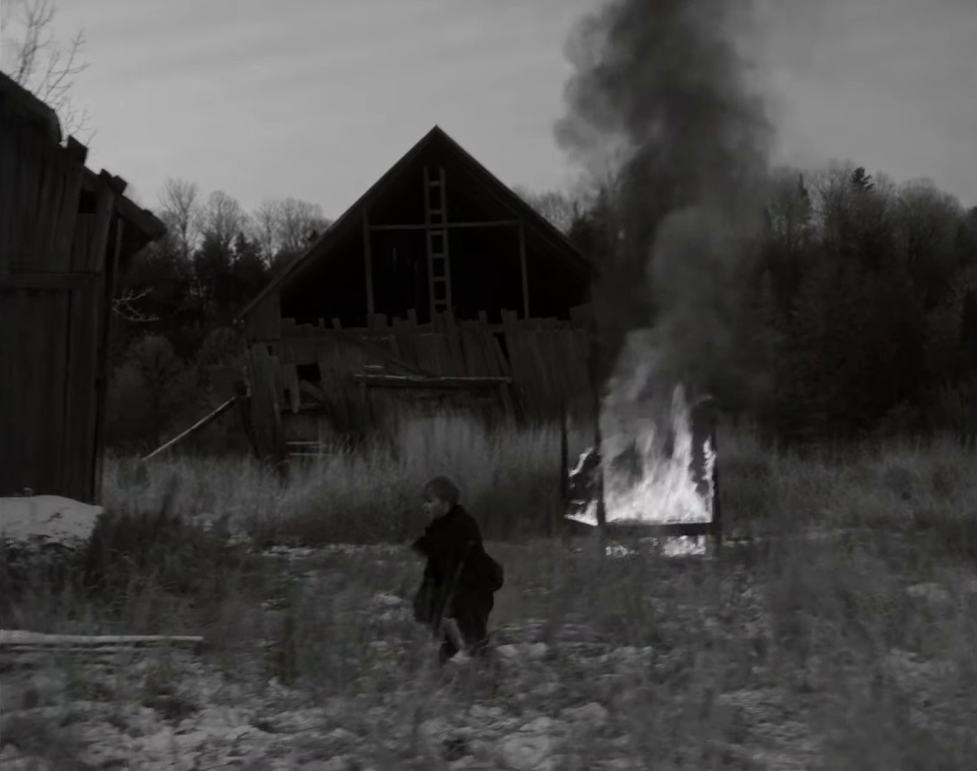 Lala (2020) —  shot,  lighting