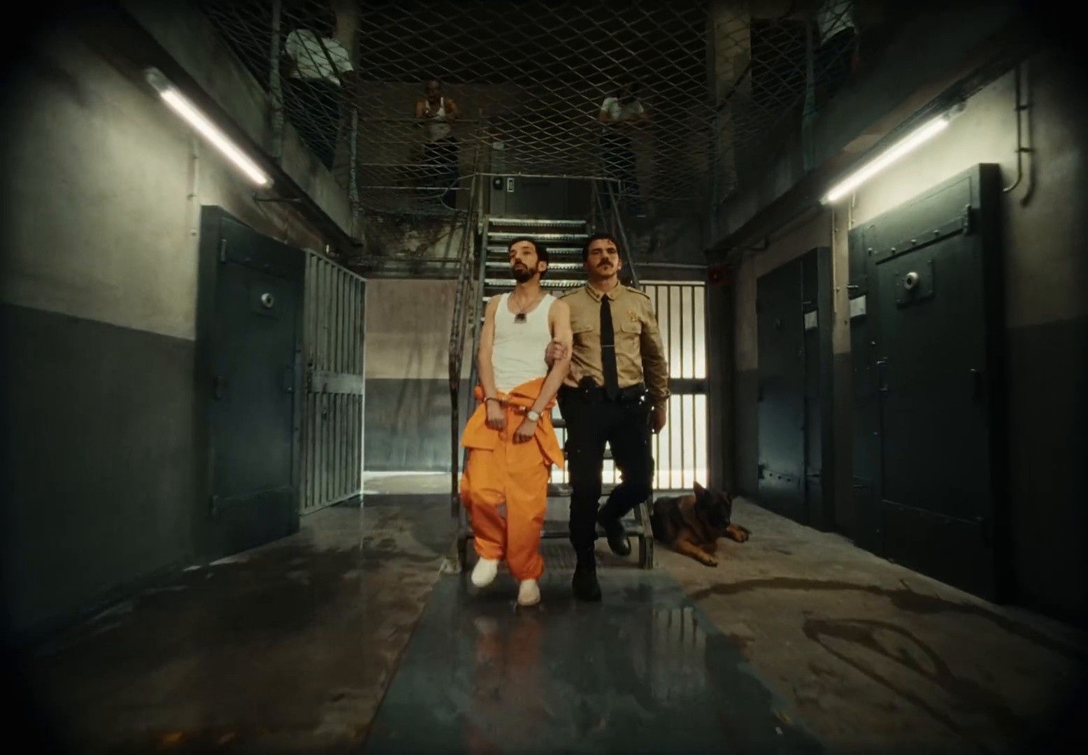 INSOLENT #5 (2025) —  shot,  lighting