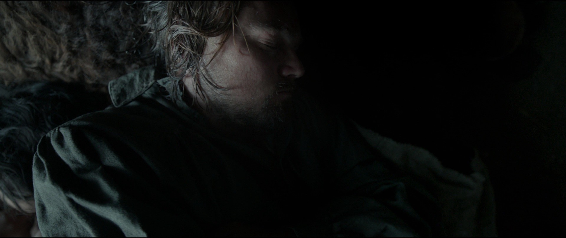 The Revenant (2015) —  shot,  lighting