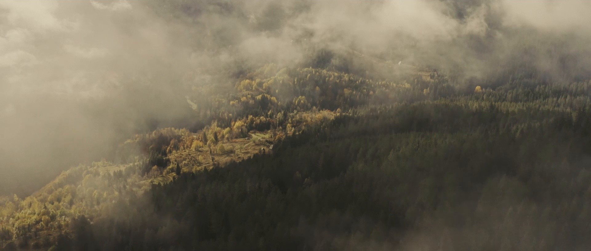 Montenegro - Uncover your wild side (2024) (2024) —  shot,  lighting