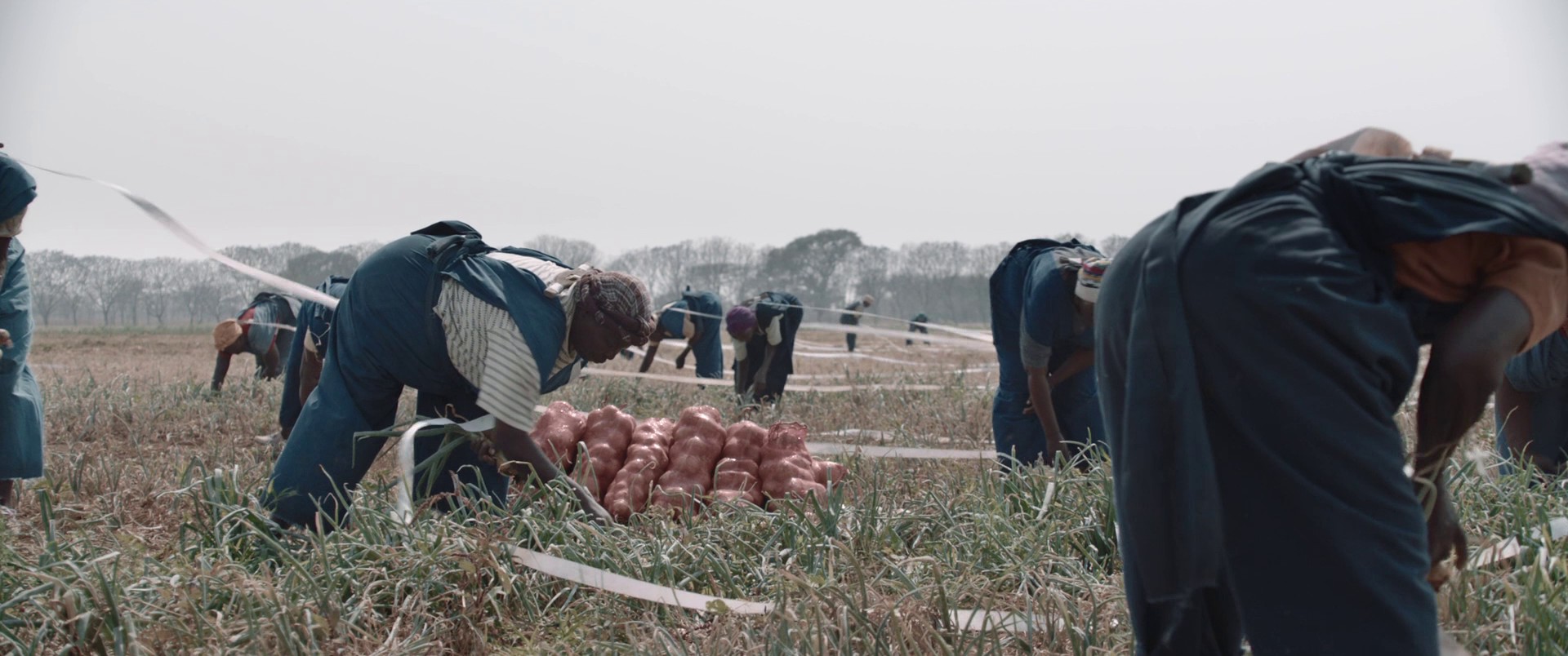 I Am Not a Witch (2017) —  shot,  lighting