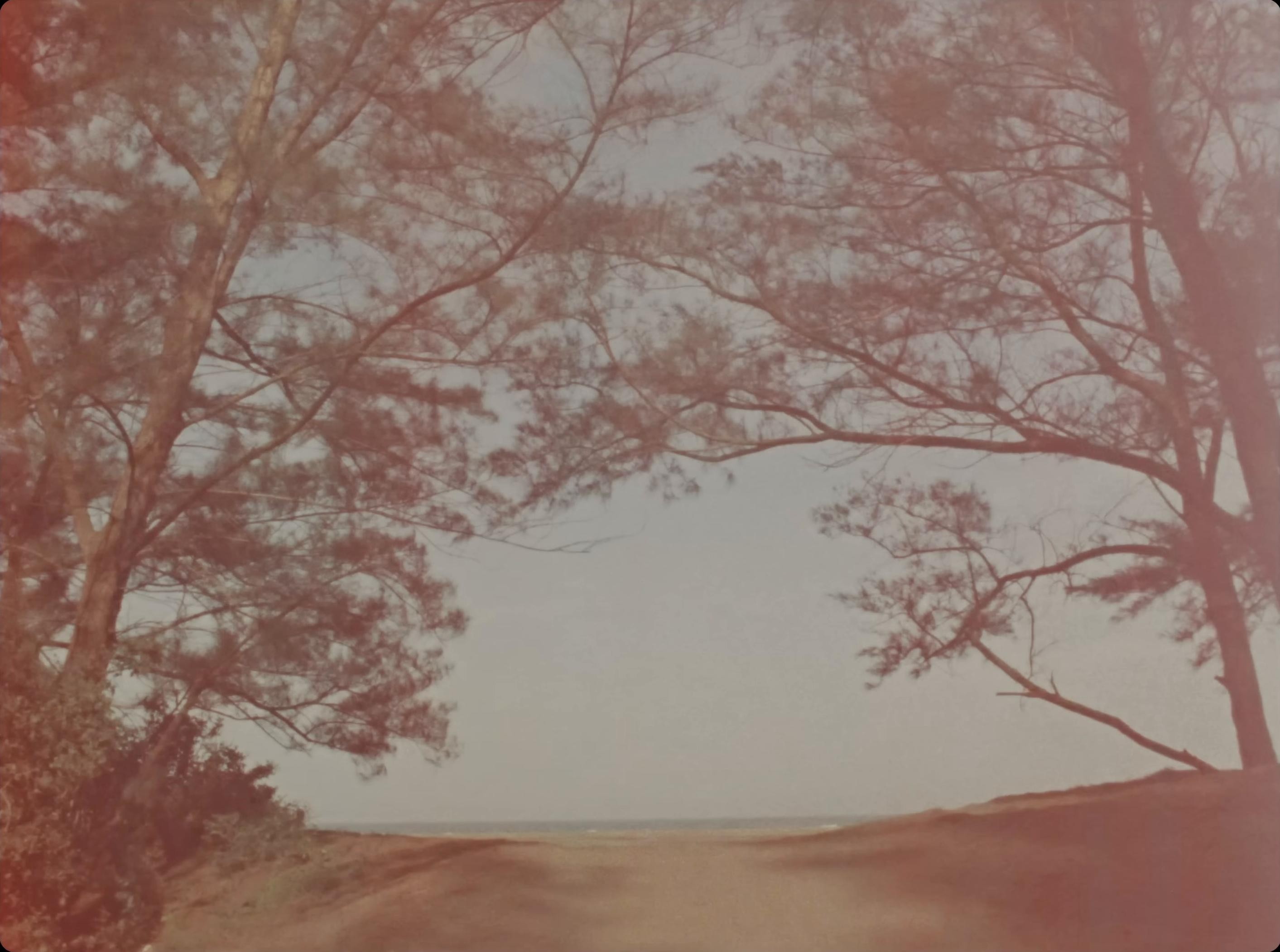 Lágrimas Cancioneras (2025) —  shot,  lighting