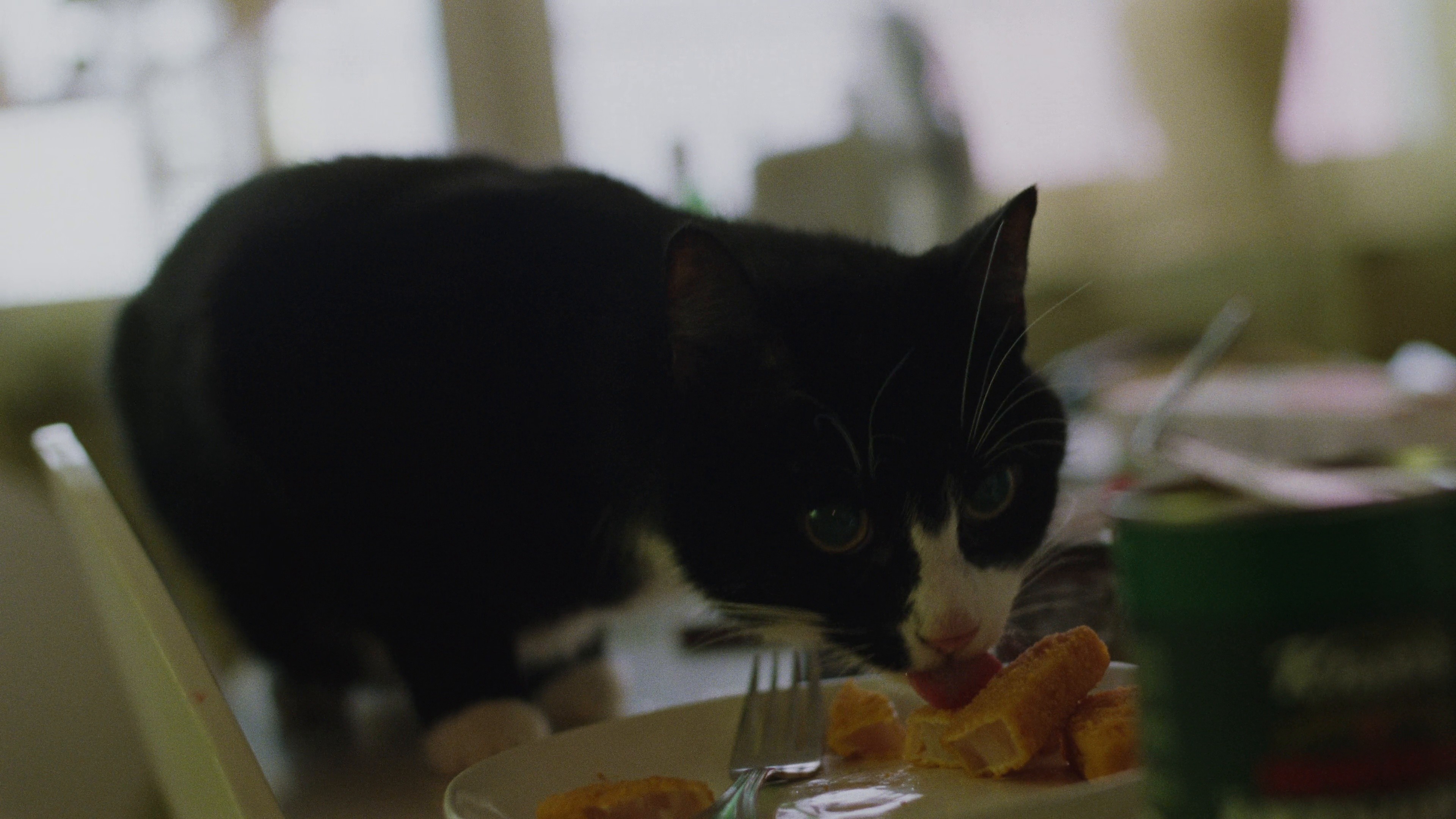 Break the cycle of disadvantage (2024) —  shot,  lighting