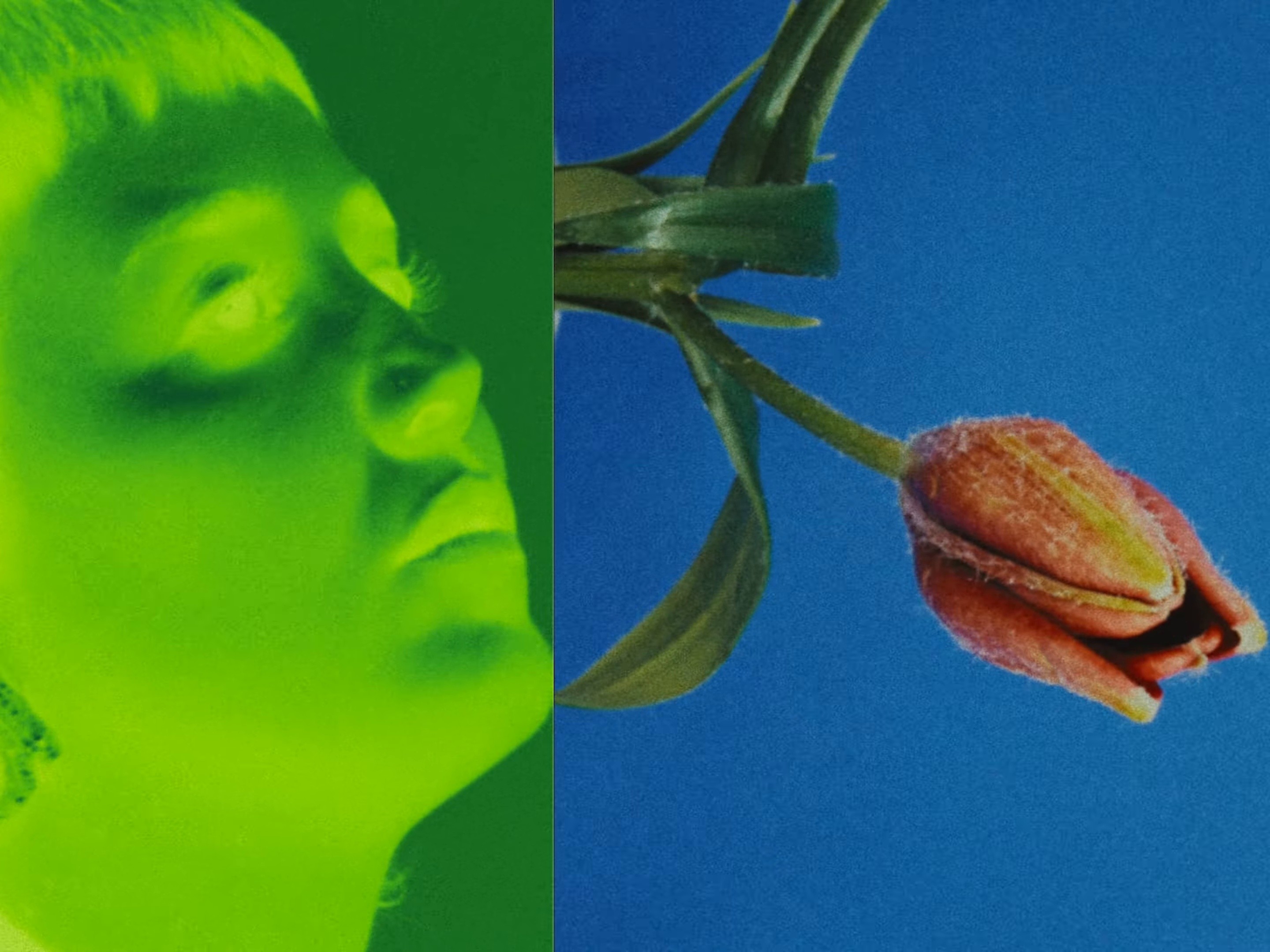 TRANSFORMANDO (2024) —  shot,  lighting